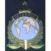 INTERPOL LARGE CREST PIN